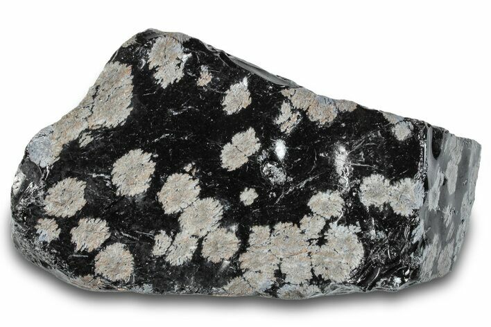 Snowflake Obsidian Section - Utah #279859